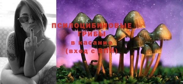 мдма Горняк